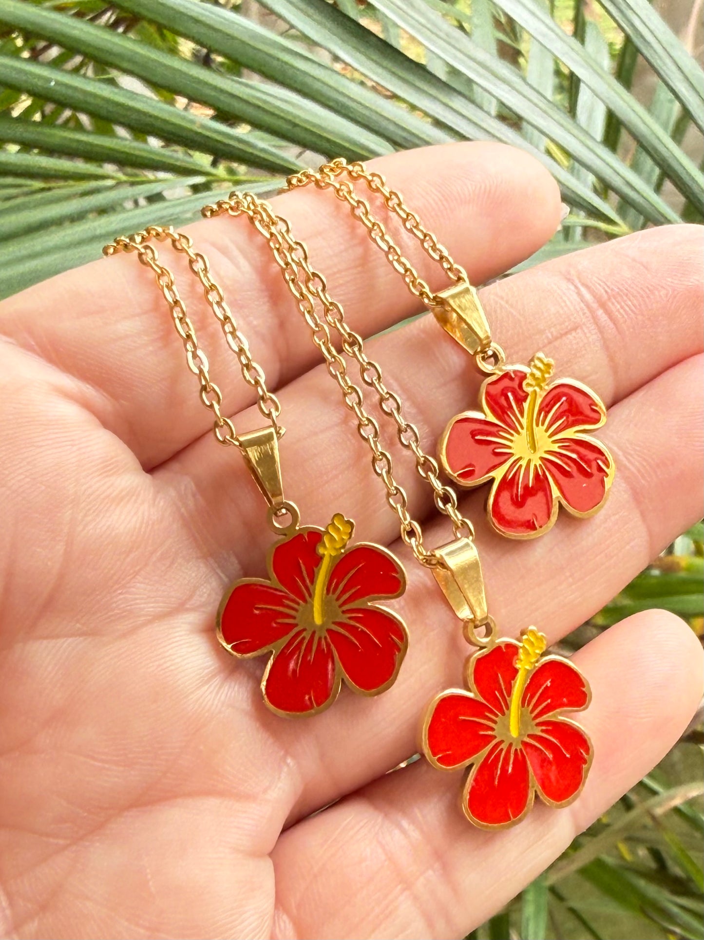 AMAPOLA (Cadena)