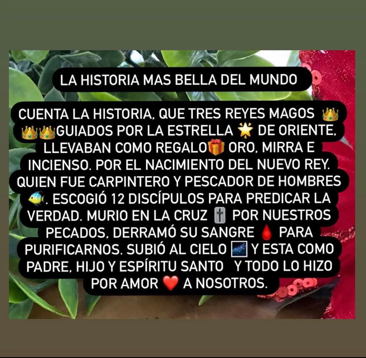 LA HISTORIA MÁS BELLA DEL MUNDO